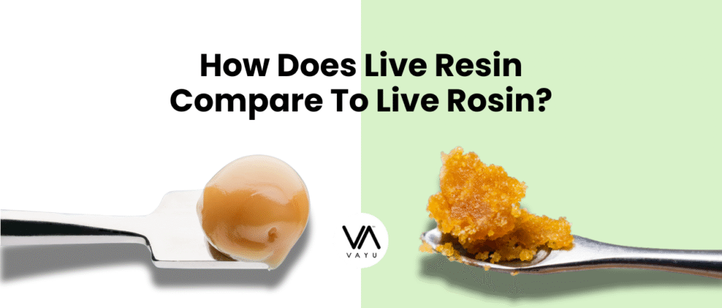 How Does Live Resin Compare To Live Rosin