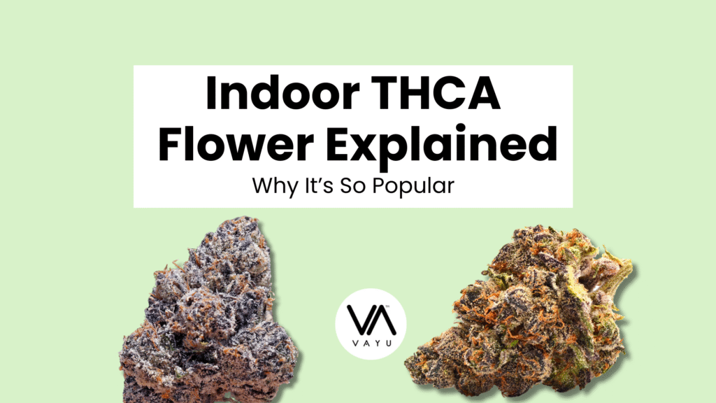 Indoor THCA Flower Explained Why It’s So Popular