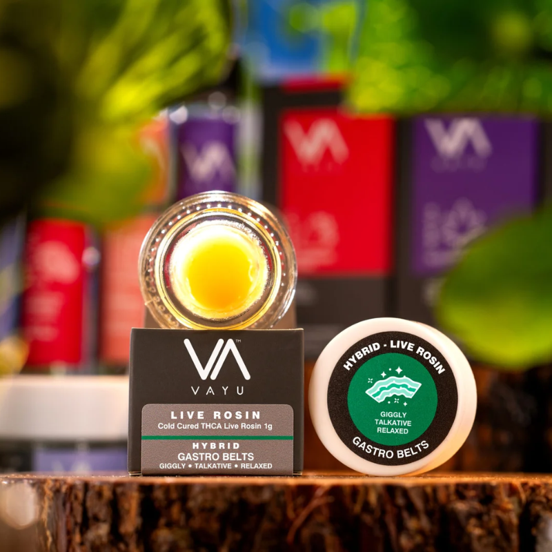 Gastro Belts – Hybrid – Cold Cured THCA Live Rosin – 1G