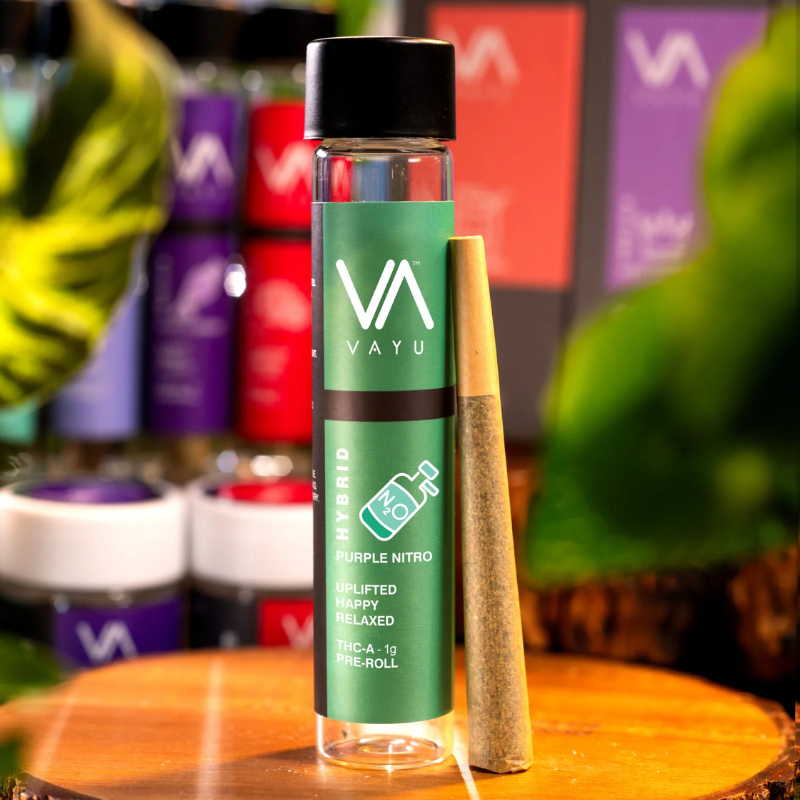 Purple Nitro - Hybrid - THCA PreRoll - 1g